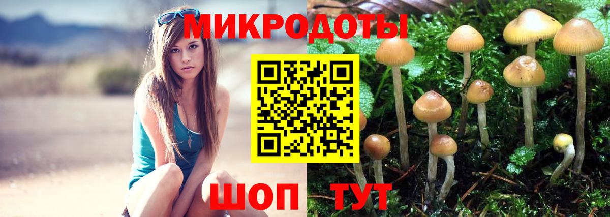 Псилоцибиновые грибы GOLDEN TEACHER Усинск